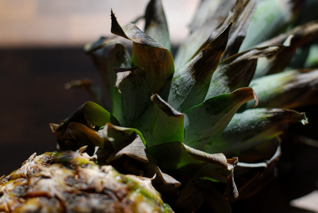 A still photograph of a pineapple laid out on a table. This photograph can be categorised as still life photography, minimalism, abstract art, indoor photography, COVID art. Originally clicked by Yuvan Kumar.